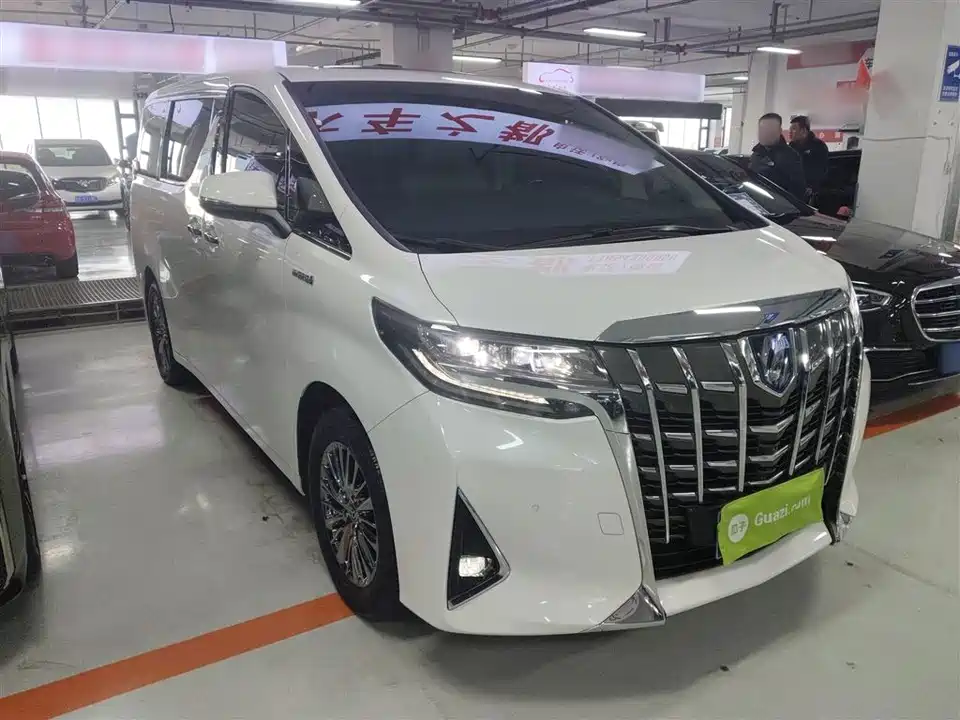 Toyota Elfa