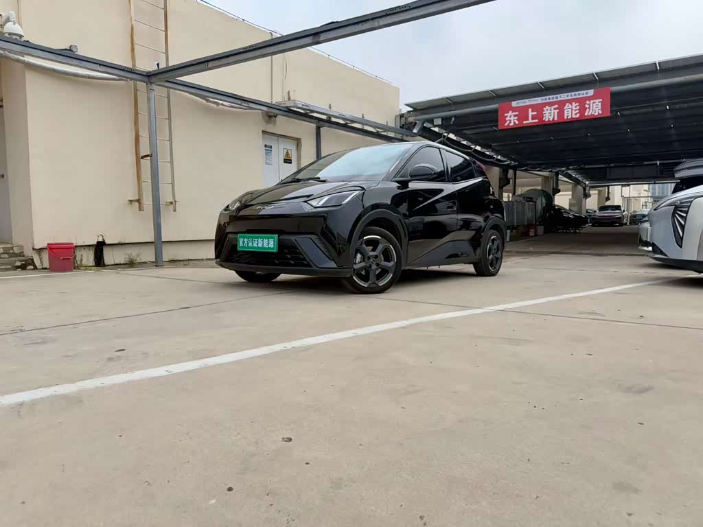 BYD Seagull