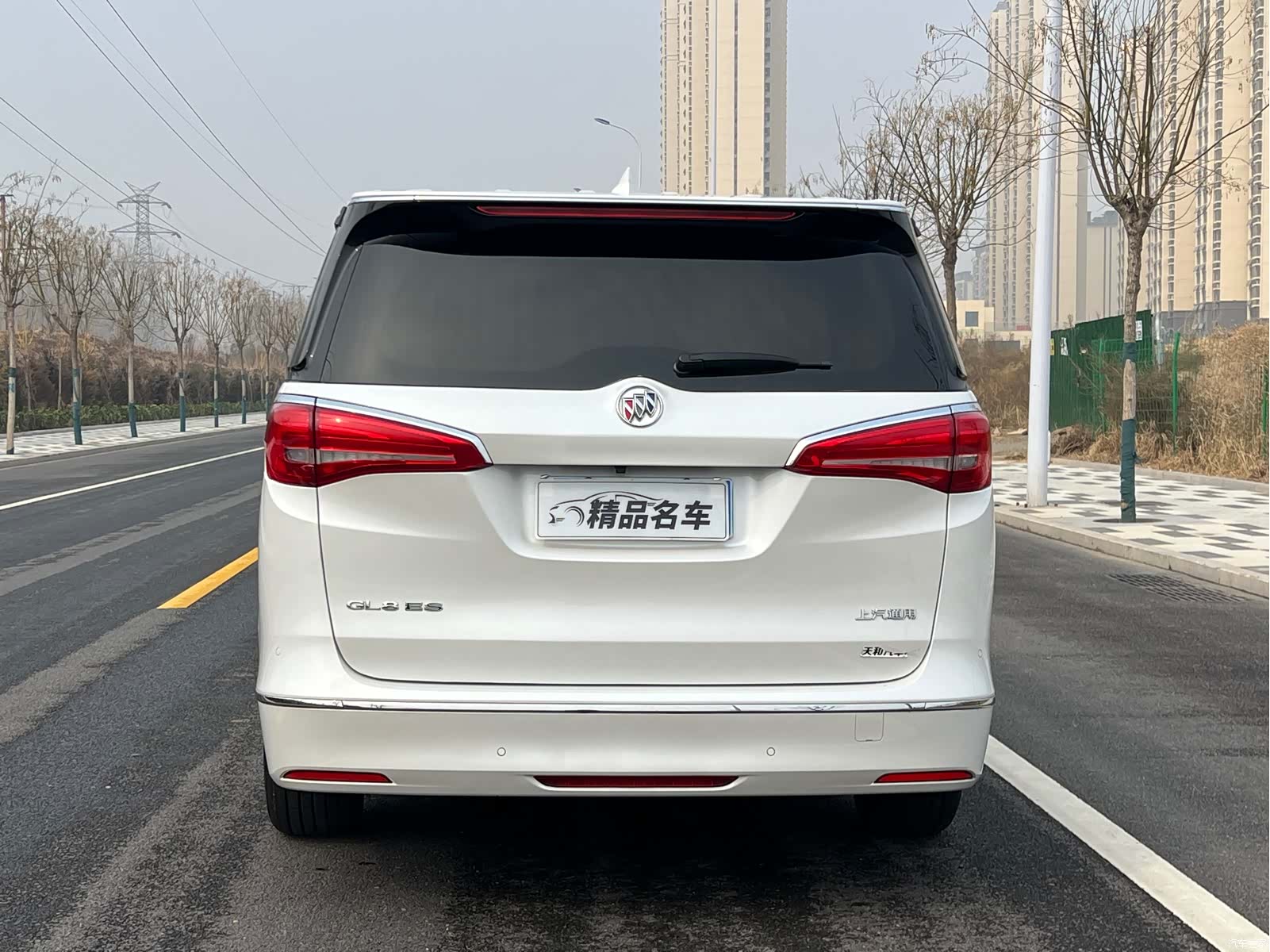 Buick GL8, 2019 8