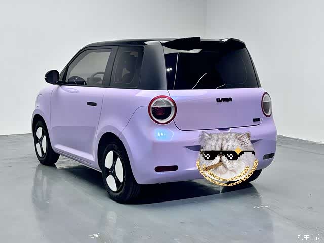 Changan Lumin, 2024 16