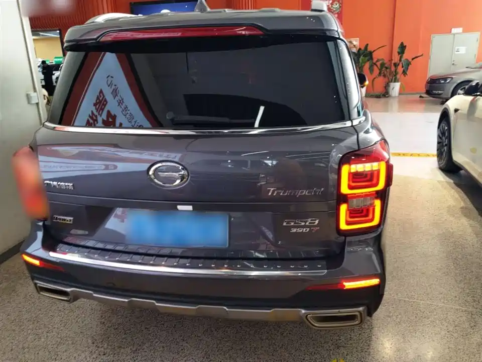 Trumpchi Trumpchi GS8