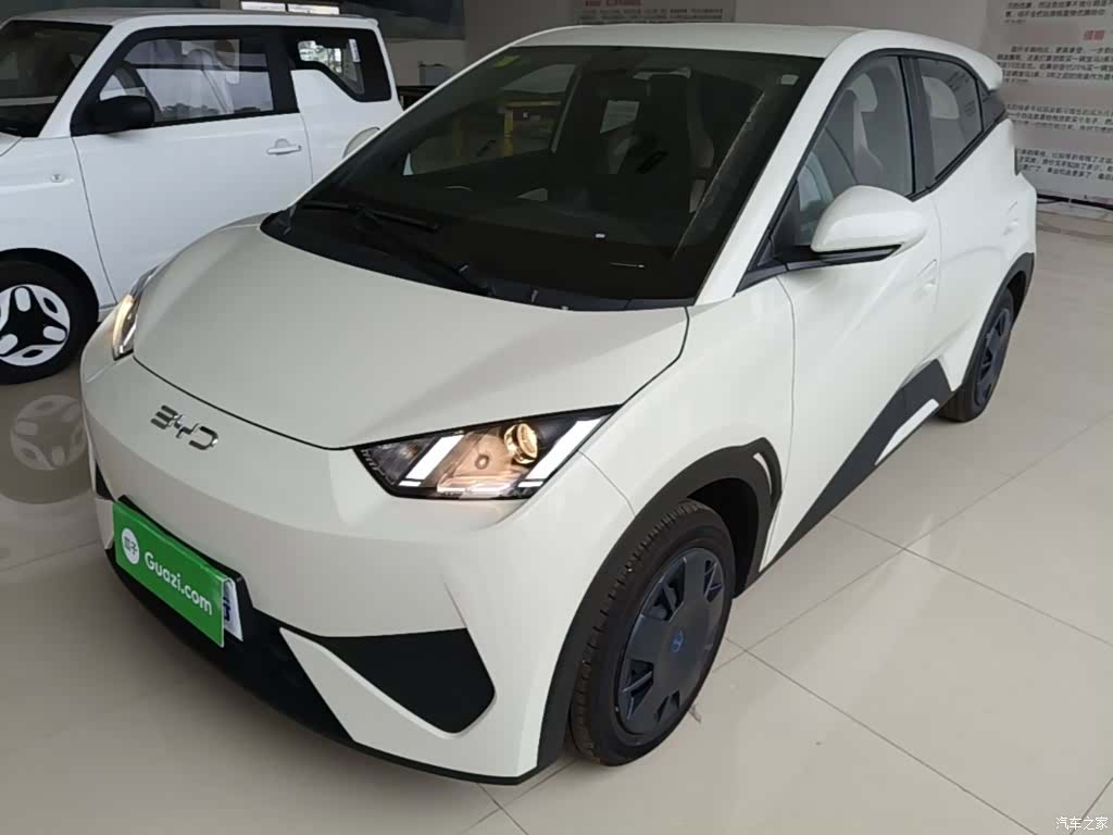 BYD Seagull, 2026 1
