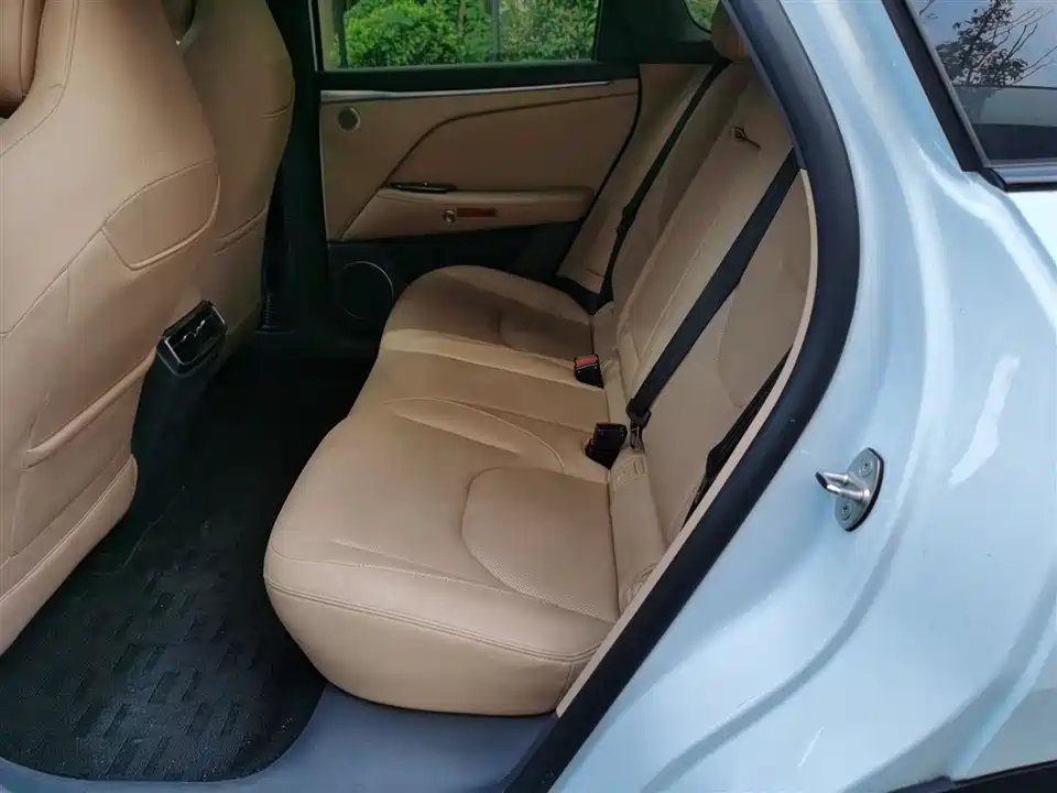 ARCFOX Polar Fox Alpha T5