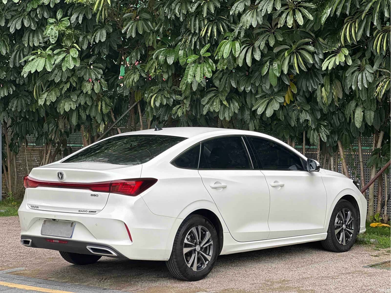 Changan Eado, 2023 16