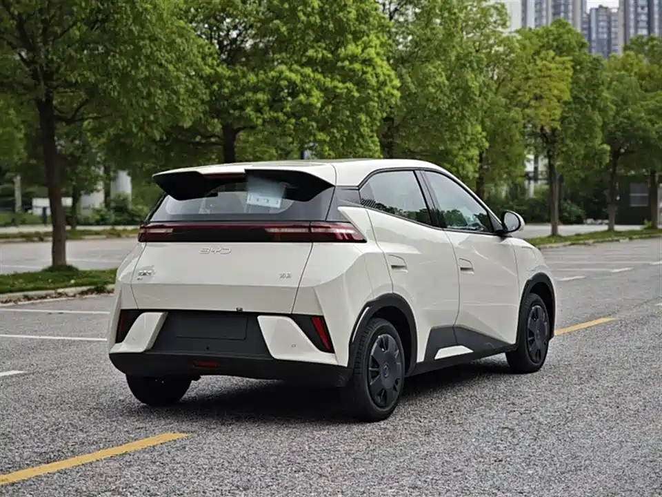 BYD Seagull