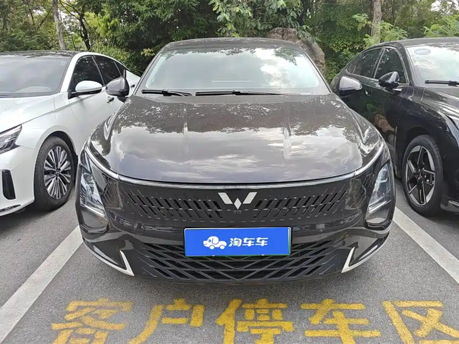 Wuling Wuling Starlight