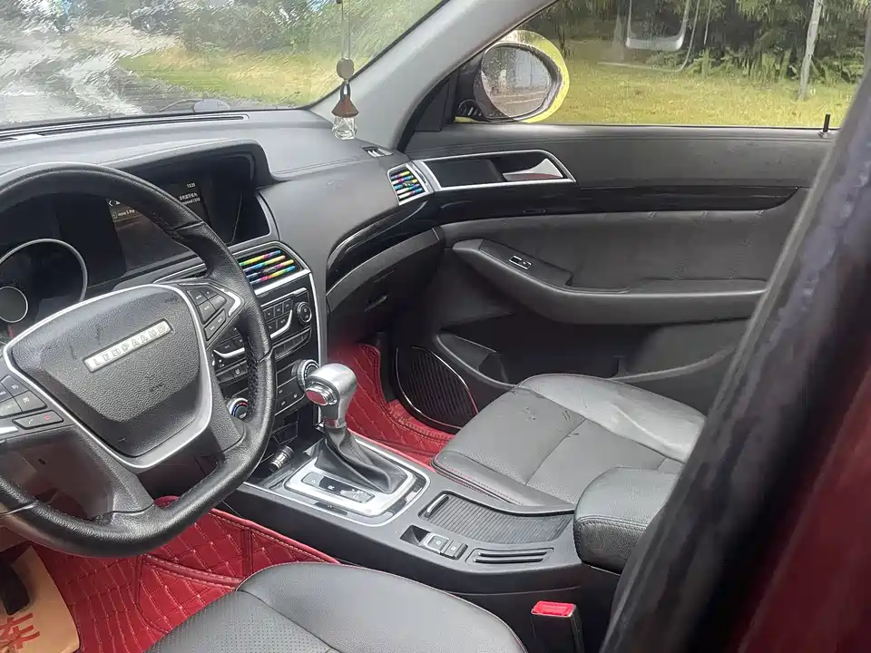 Leopaard Cheetah CS10