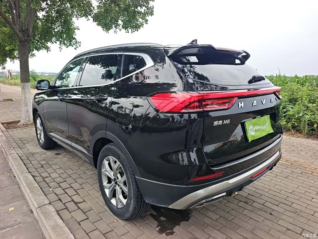 Haval H6, 2023 все фото