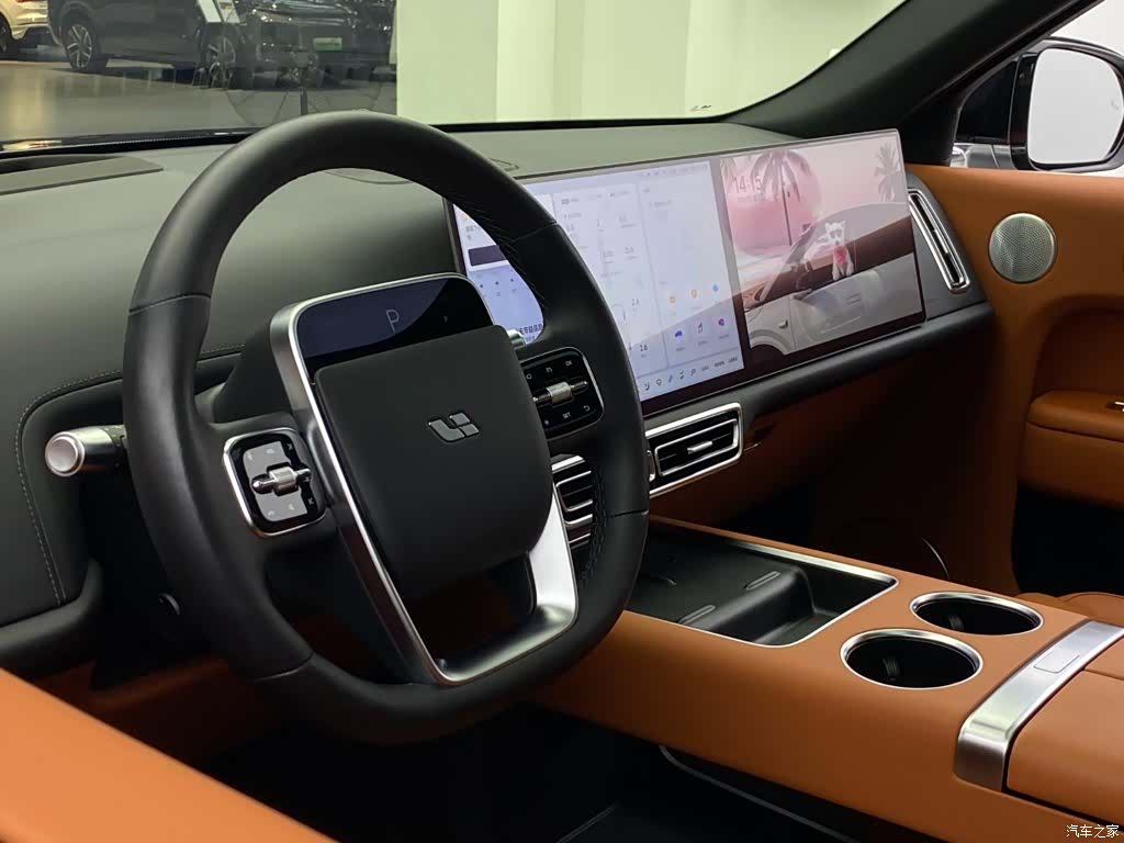 Li Auto L9, 2023 31