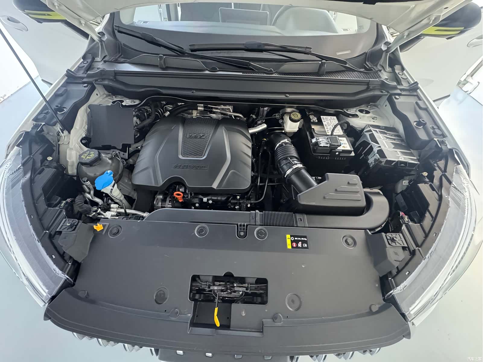 Haval Jolion, 2022 8