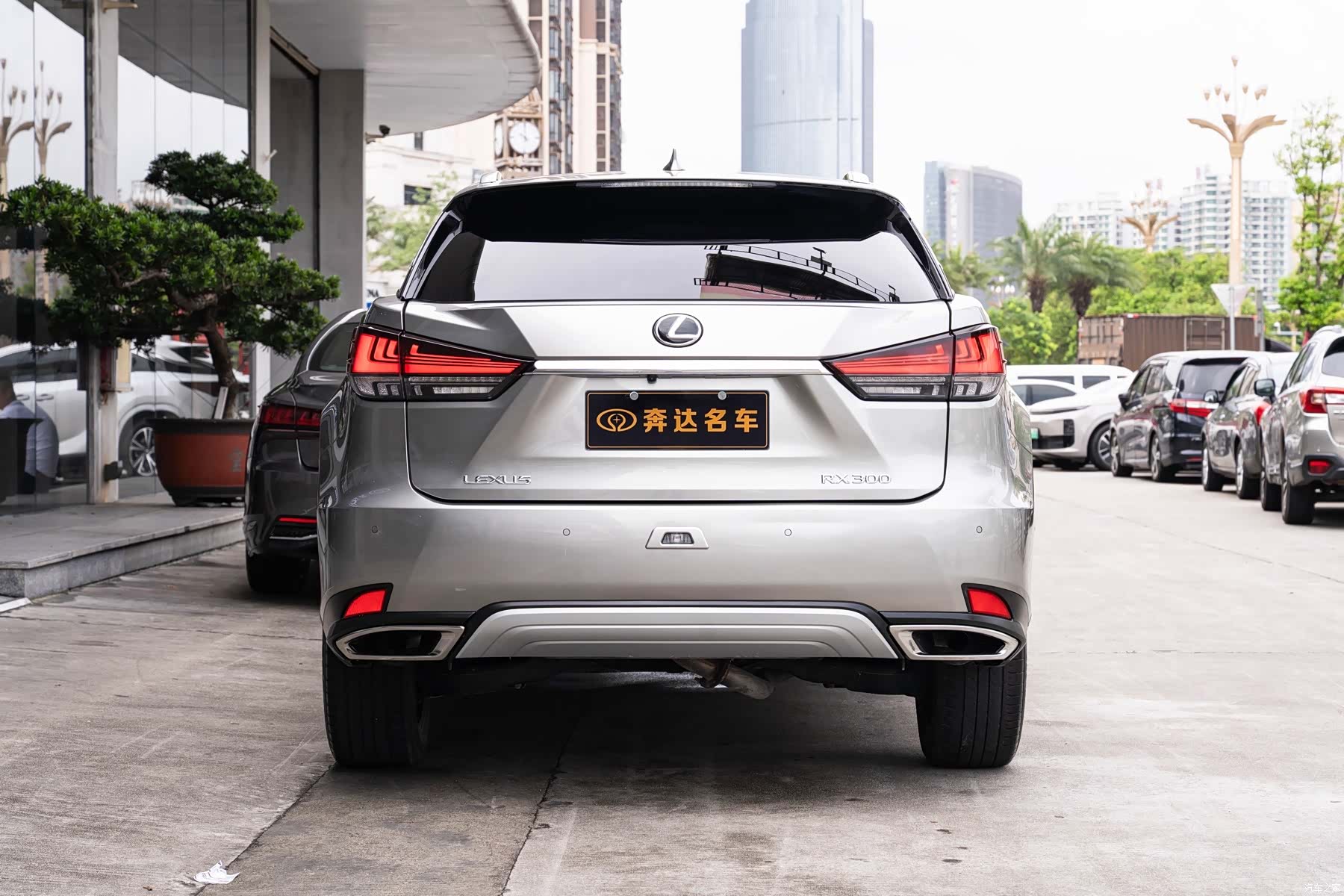 Lexus RX, 2022 все фото