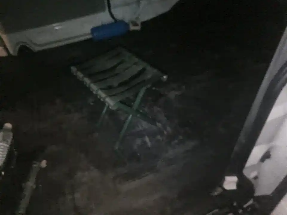 Jinbei Little Sea Lion X30