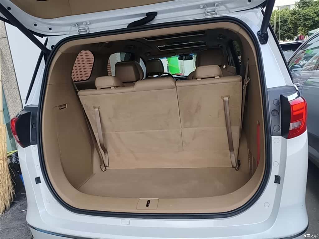 Buick GL8, 2019 19