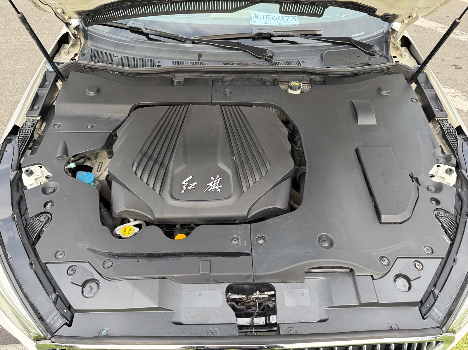 Hongqi H5, 2018 19