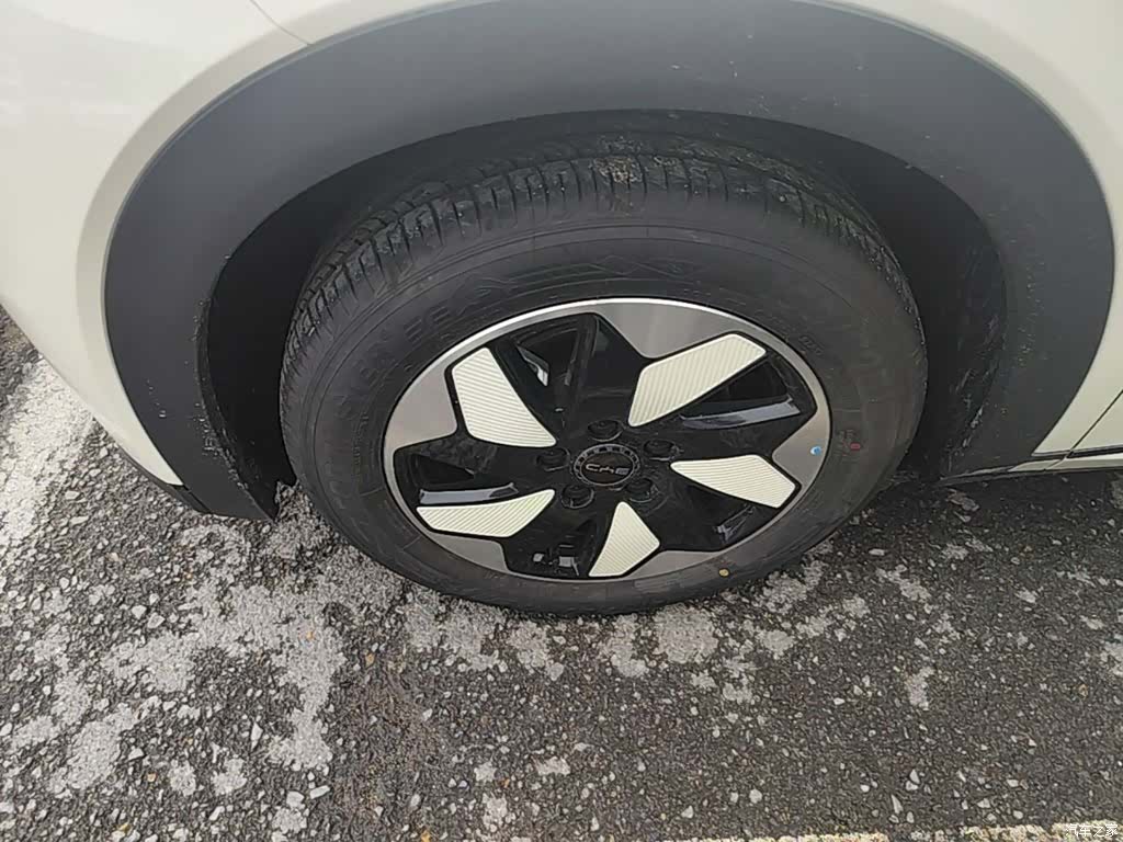 BYD Dolphin, 2026 23