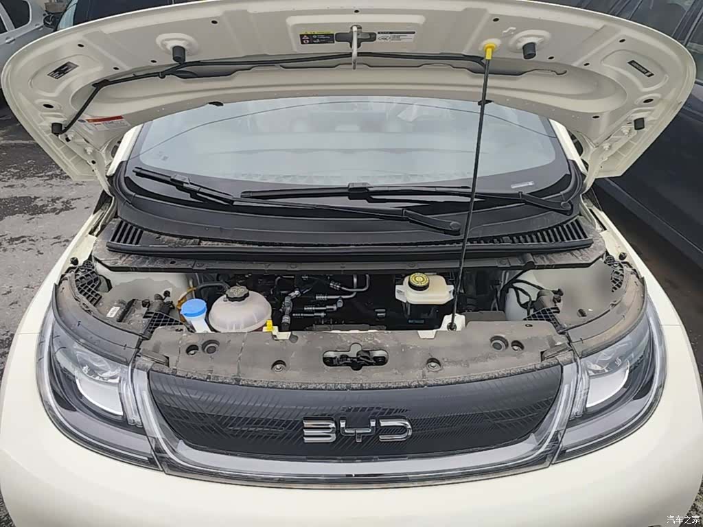 BYD Dolphin, 2026 20