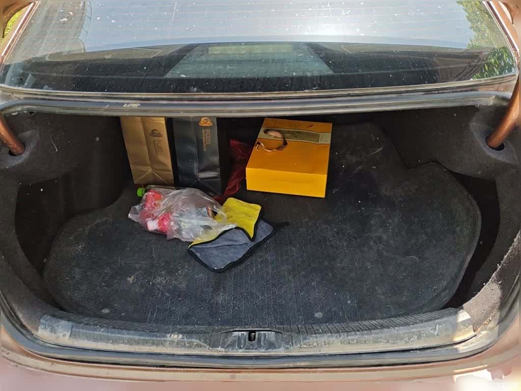 Volkswagen Lamando, 2017 10