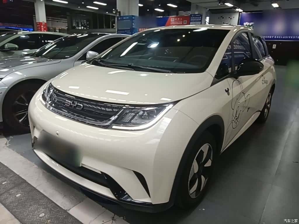 BYD Dolphin, 2025 2
