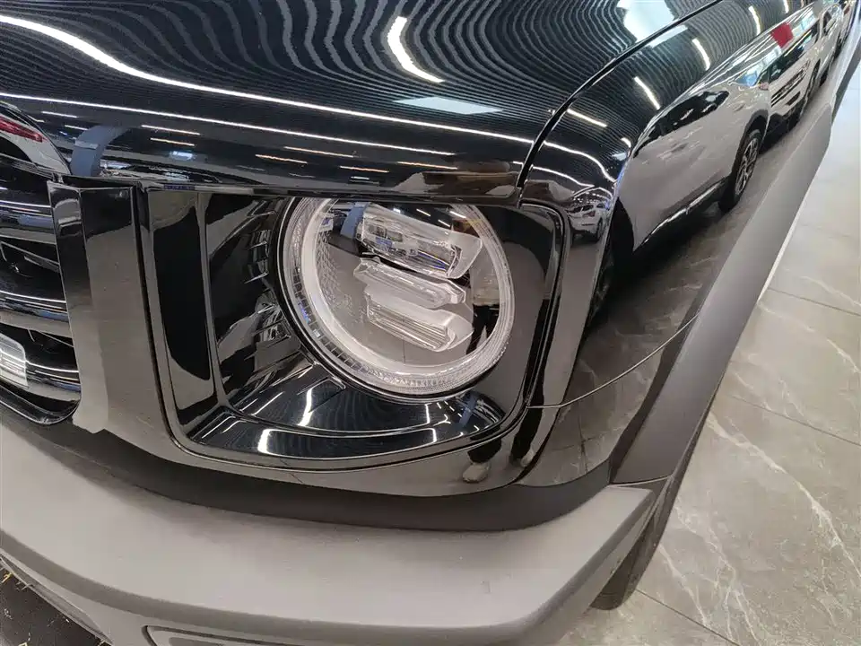 Haval Big dog