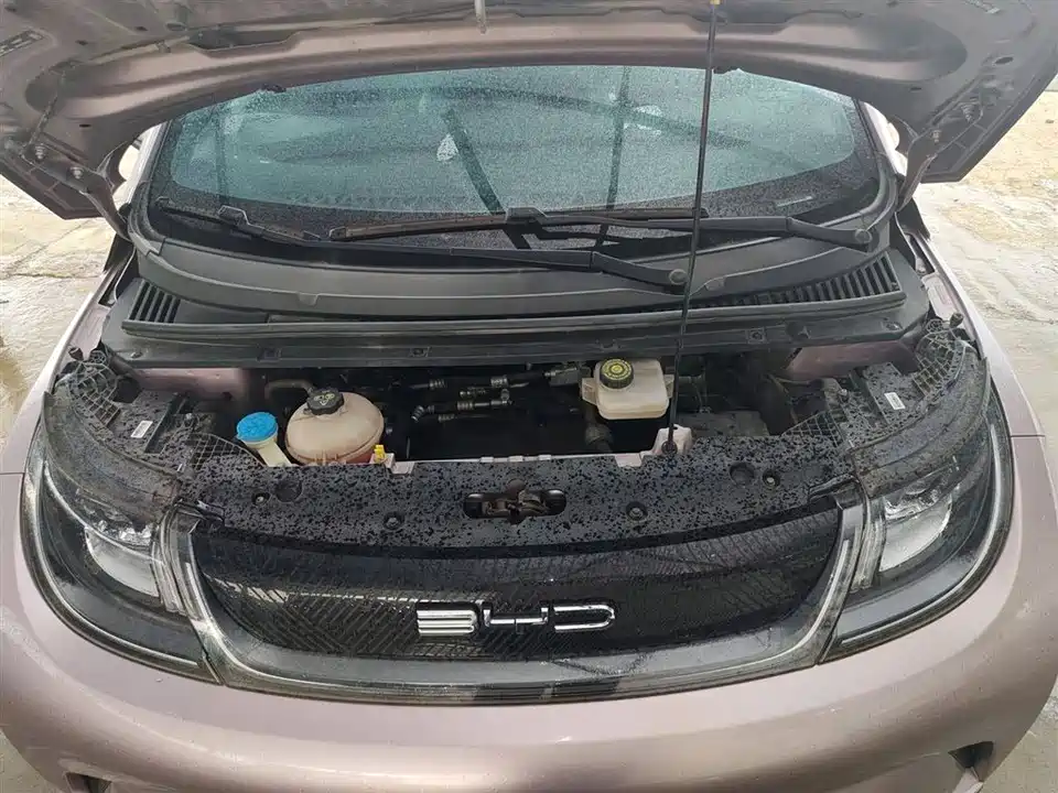 BYD dolphin