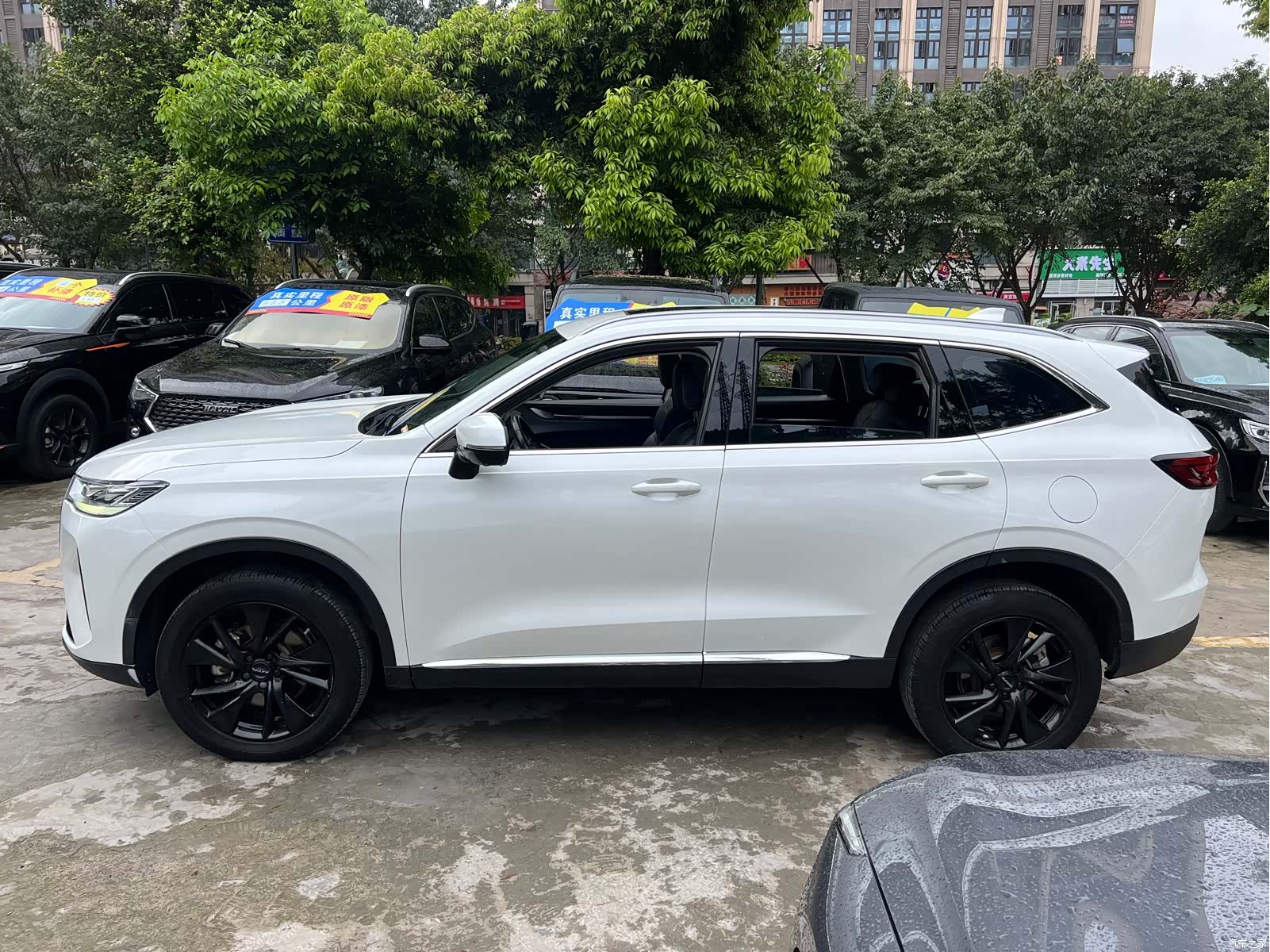 Haval H6, 2022 6