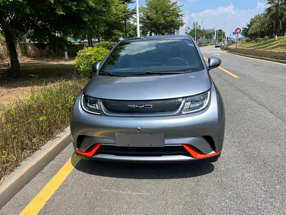 BYD dolphin
