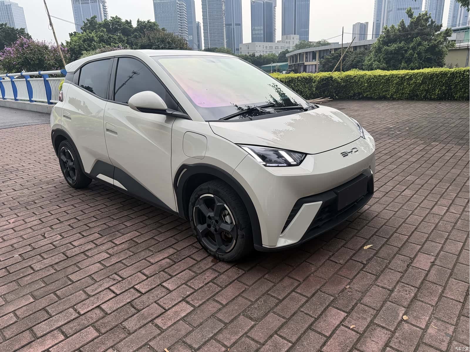BYD Seagull, 2023 3