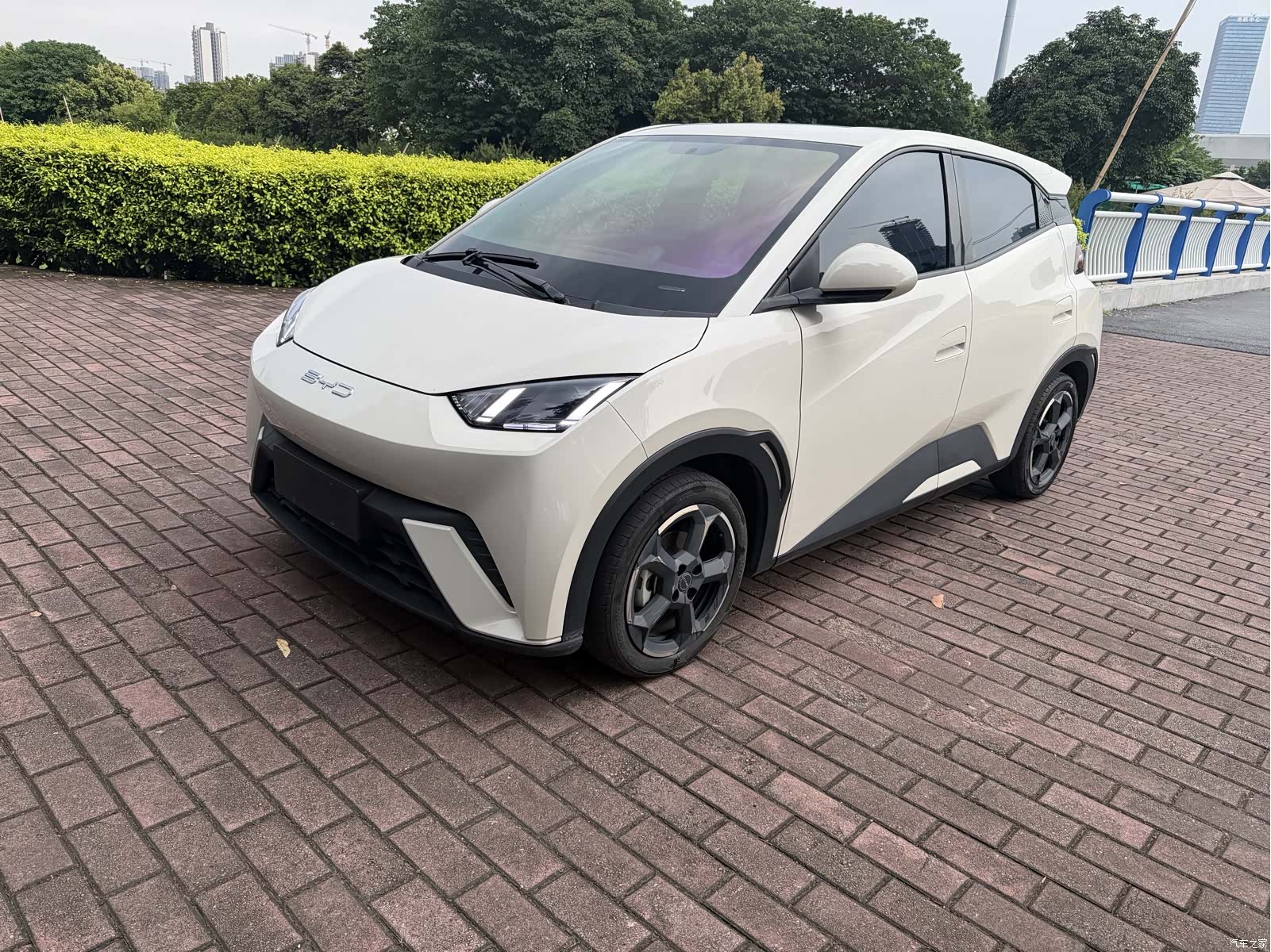 BYD Seagull, 2023 1