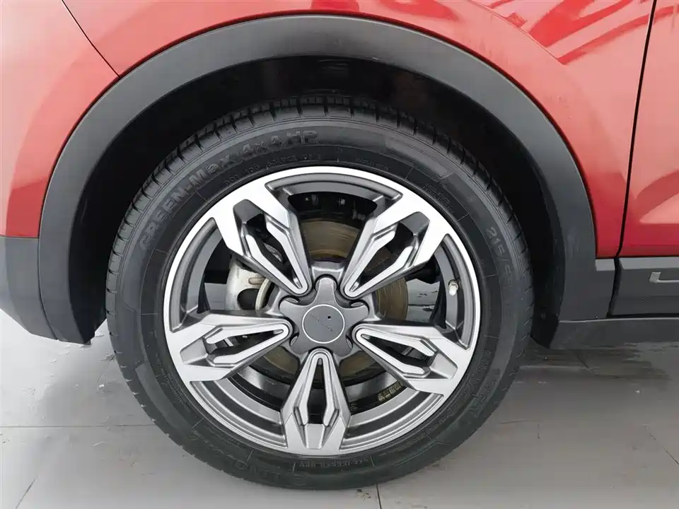 Leopaard Cheetah CS9