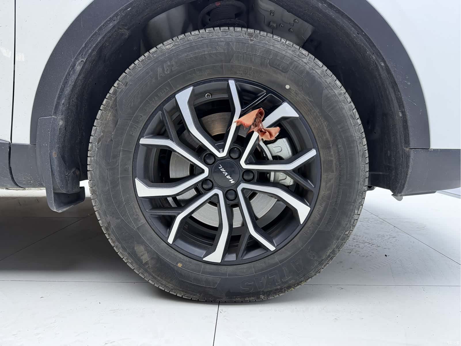 Haval H6, 2023 8