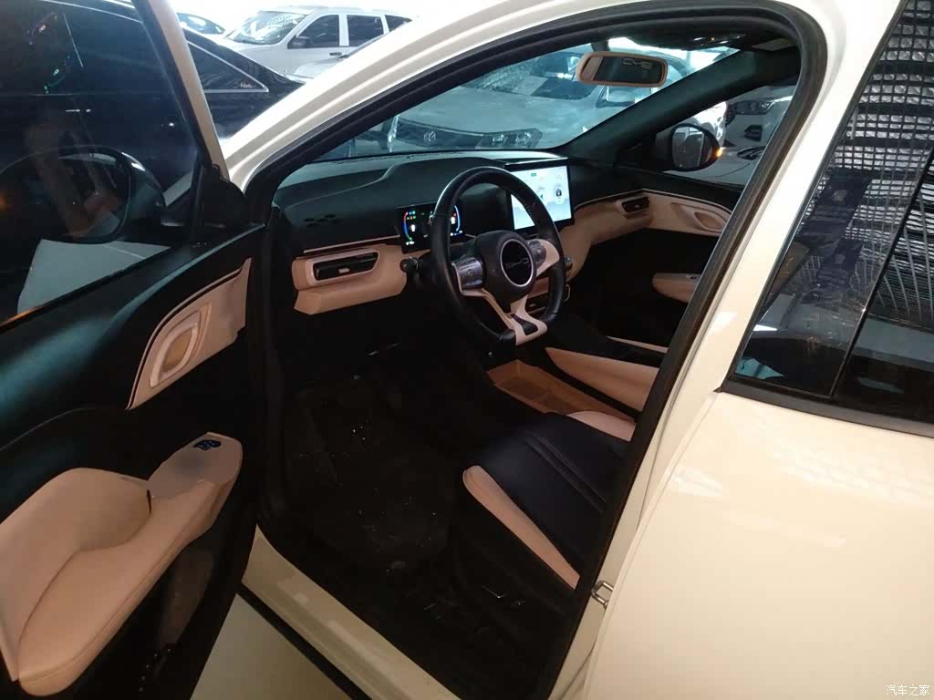 BYD Seagull, 2024 12