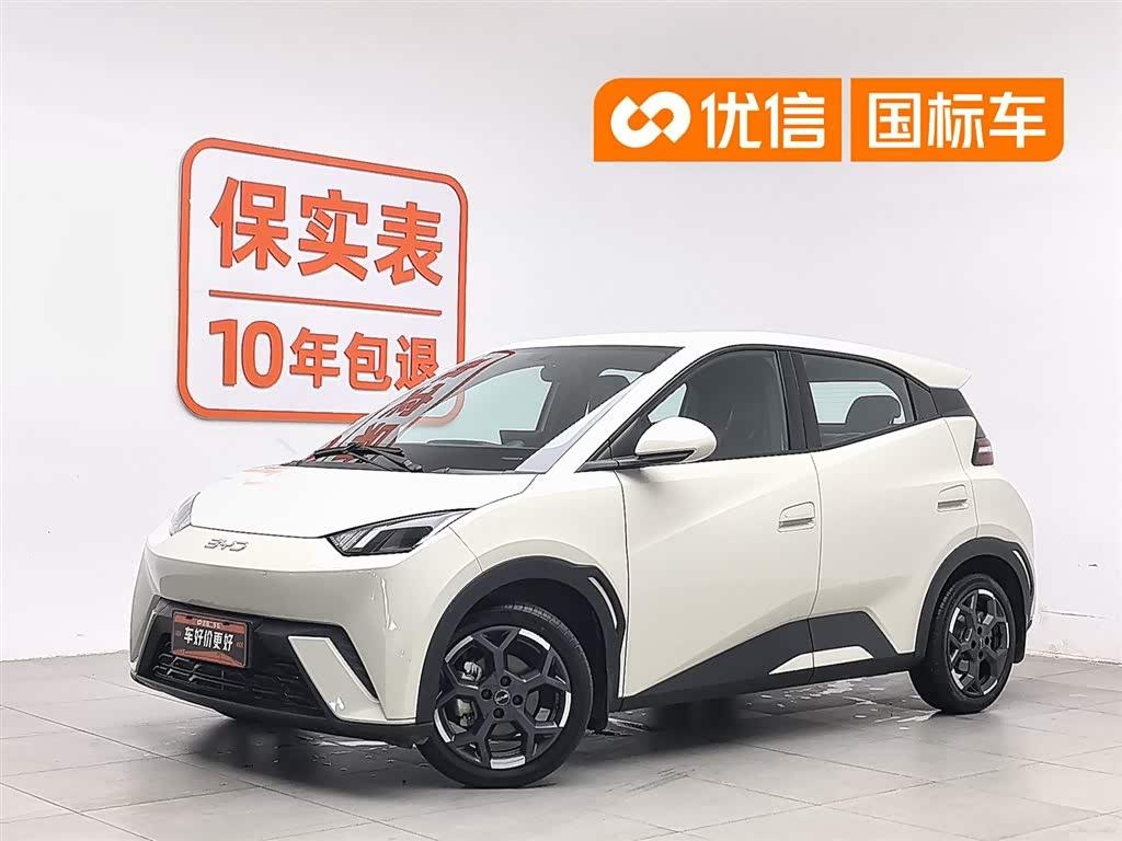 BYD Seagull
