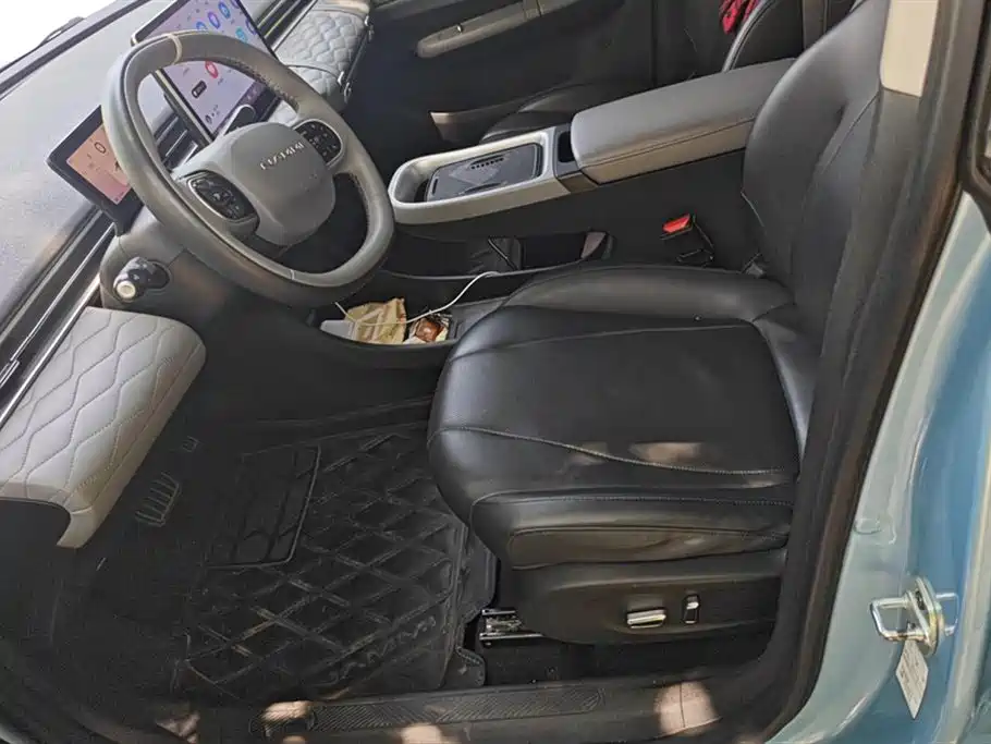 Dongfeng Nammi Nano 01