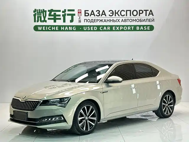 Škoda Speed pie 2022 — купить из Китая под заказ