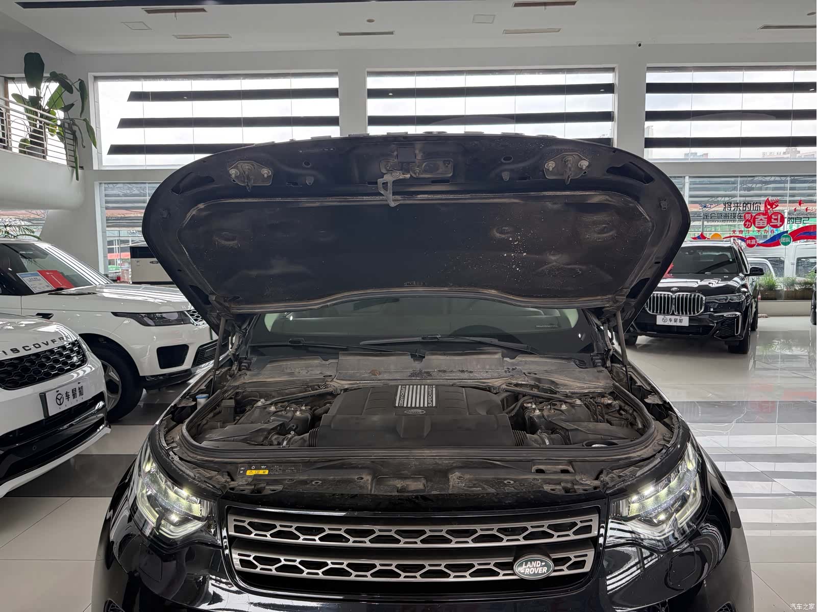 Land Rover Discovery, 2017 все фото