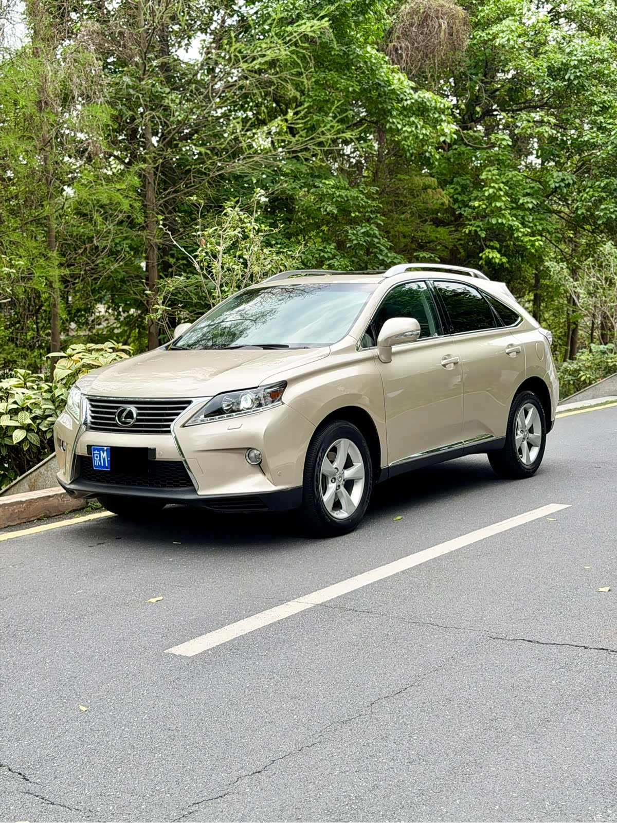 Lexus RX, 2013 1