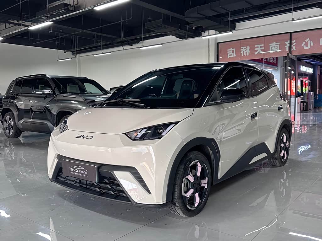 BYD Seagull