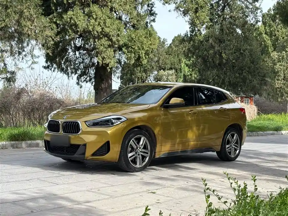 BMW X2