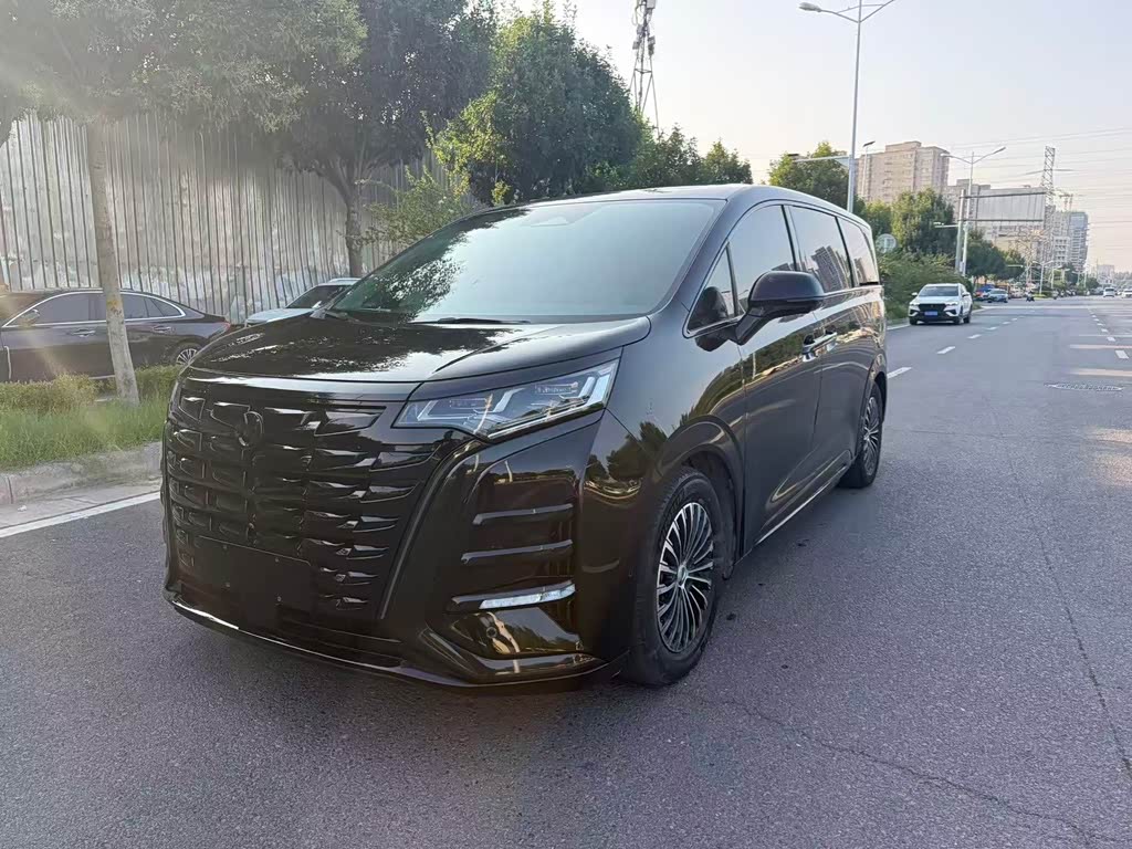 Denza D9