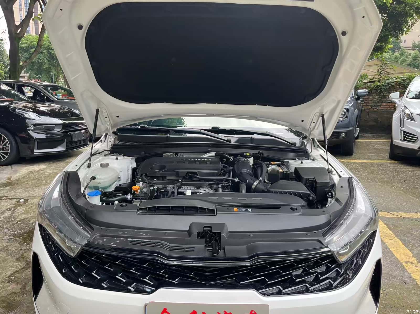 Kia K5, 2021 14
