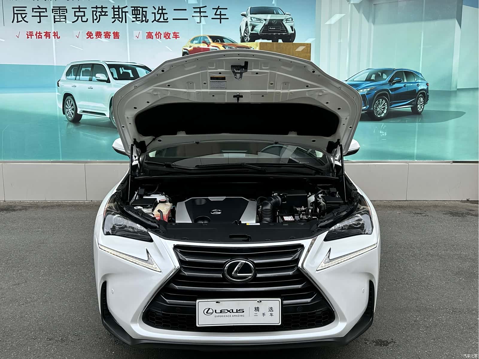 Lexus NX, 2015 все фото