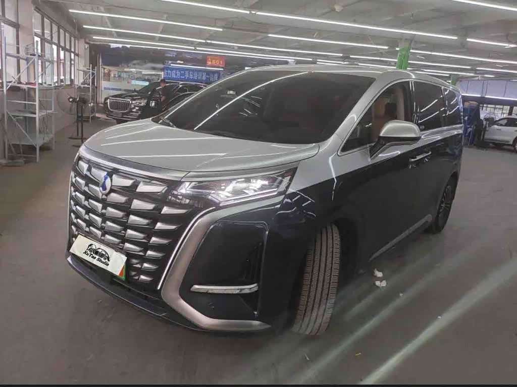 Denza D9