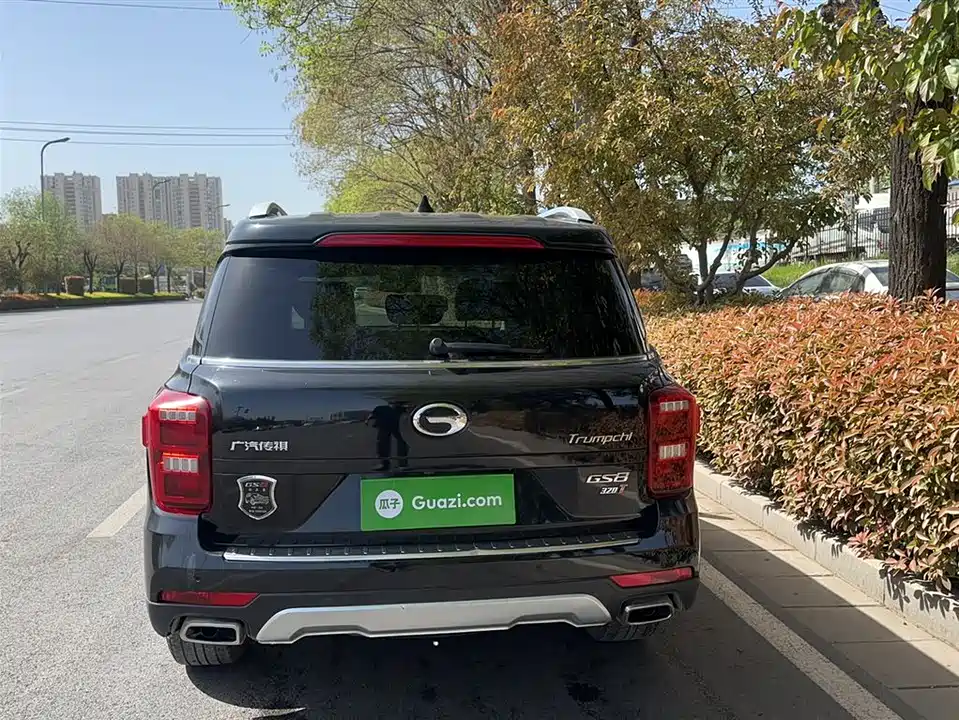 Trumpchi Trumpchi GS8