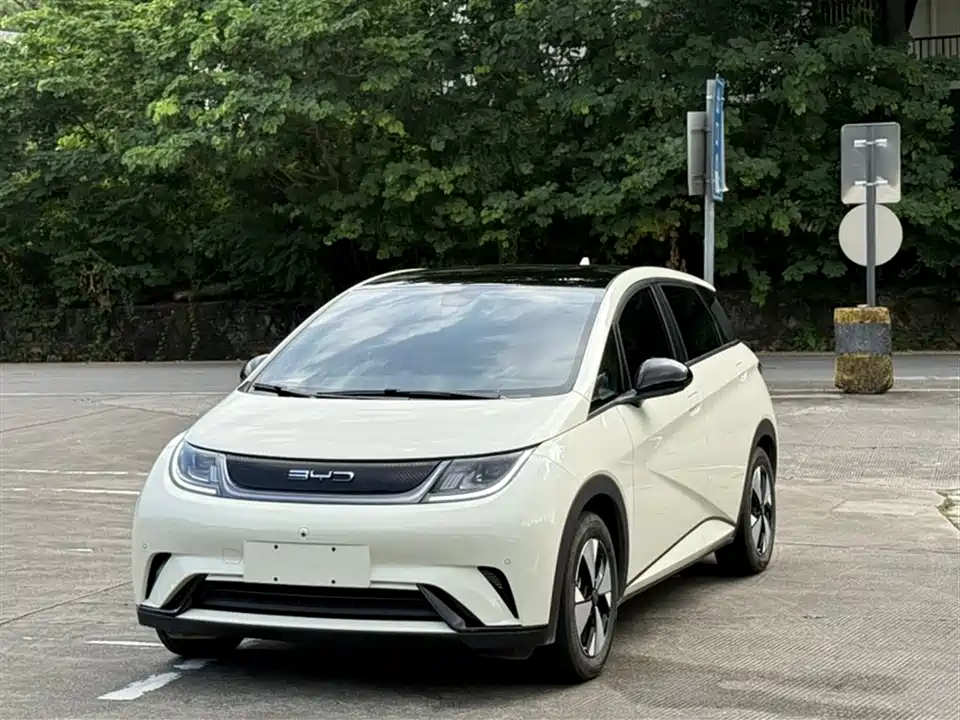 BYD dolphin