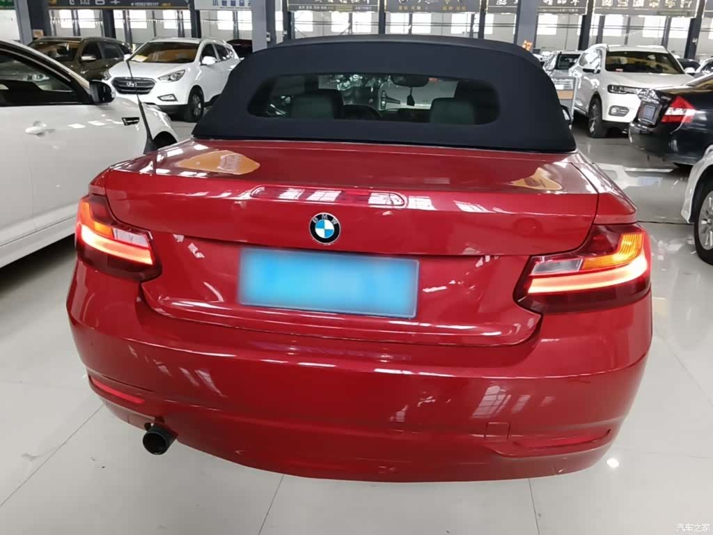 BMW 2 Series, 2016 6