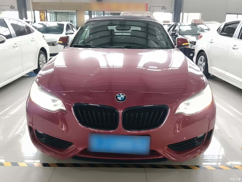 BMW 2 Series, 2016 3