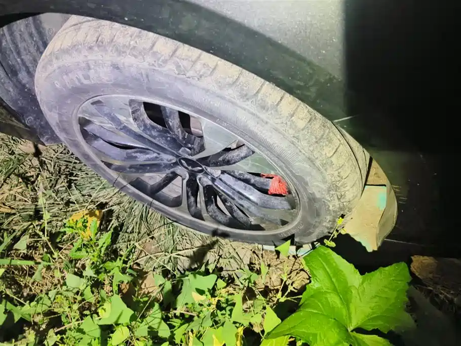 Wuling Wuling Capgemini