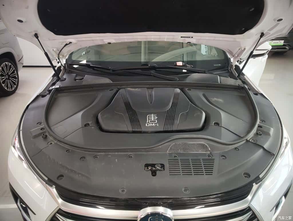 BYD Tang, 2023 20