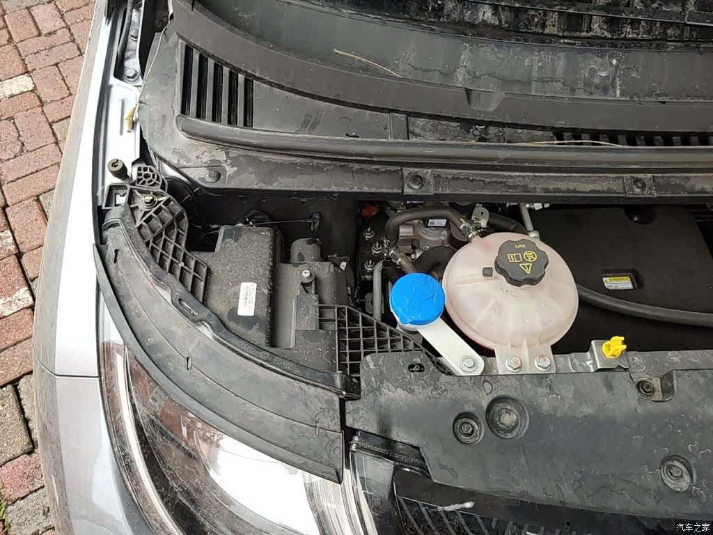 BYD Dolphin, 2023 21
