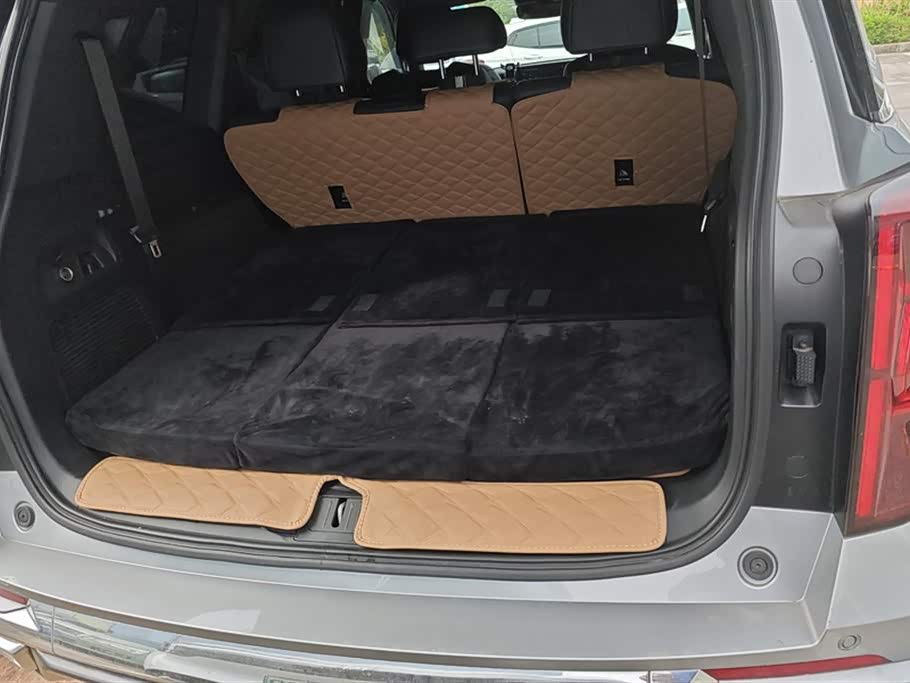 Trumpchi Trumpchi ES9